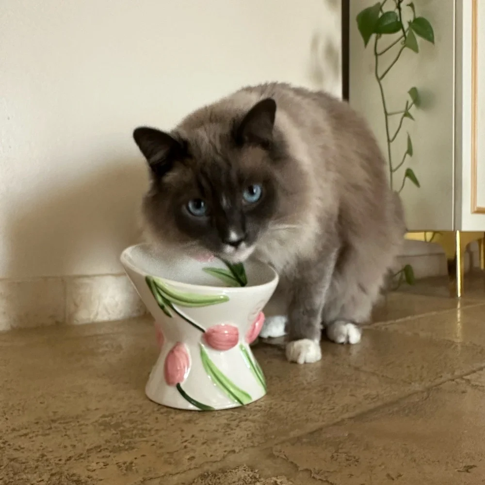 Hand-Painted Pink Tulip Ceramic Cat Bowl Decorative Pet Feeder or DrinkEaster